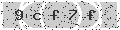 verify code