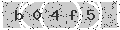 verify code