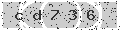 verify code