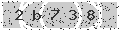 verify code