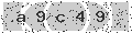 verify code