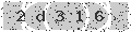 verify code