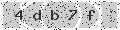 verify code