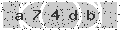 verify code