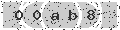 verify code